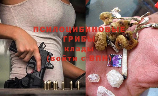 mdpv Богородск